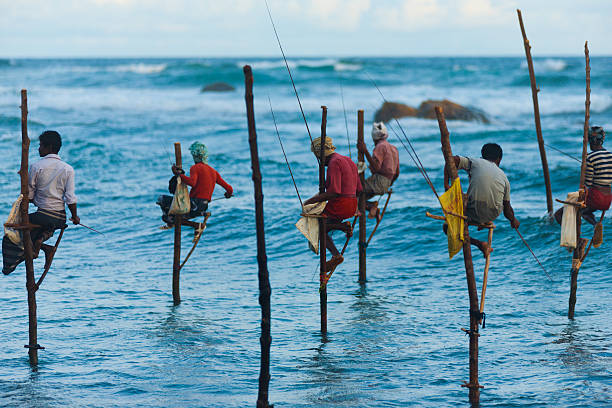 Unawatuna, Sri Lanka - May 22, 2008: Unidentified Sri Lankan stilt fishermen catch small fish in this unique traditional method sitting above the water on May 22, 2008 in Unawatuna, Sri Lanka