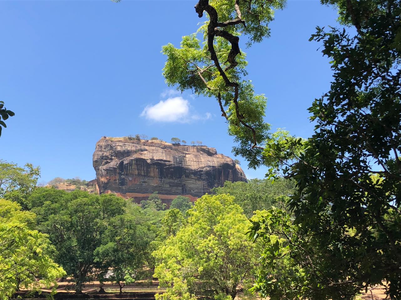 WhatsApp Image 2024-10-13 at 16.45.37