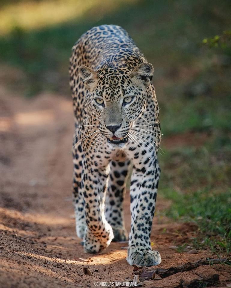 WhatsApp Image 2024-10-13 at 16.45.45 (1)