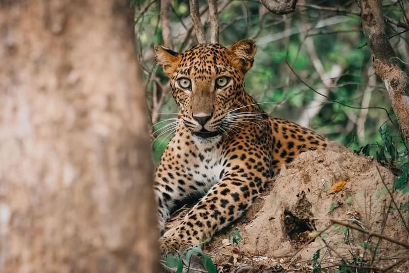 WhatsApp Image 2024-10-13 at 16.45.45